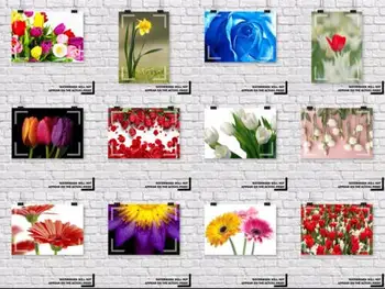 Цветя, Цветни венчелистчета на Роза Лале Маргаритка Художествен плакат на платното за декор всекидневна, Домашна стенни модел